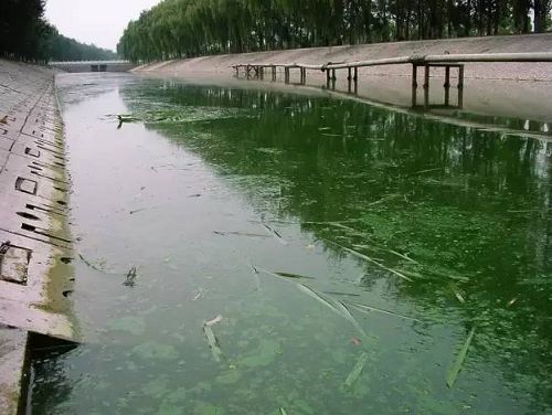 城市黑臭河道如何治理？河道黑臭水體治理思路(圖1)