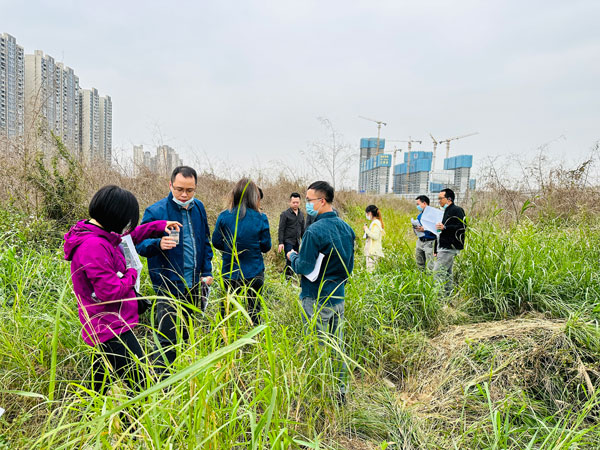 樂從小布村原鋼鐵市場一地塊通過專家評審